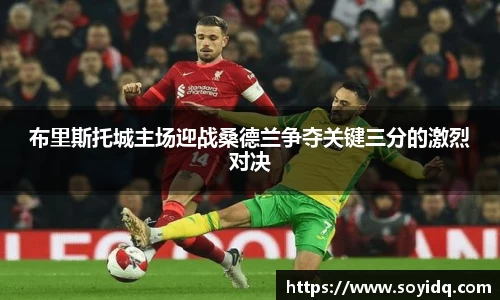布里斯托城主场迎战桑德兰争夺关键三分的激烈对决